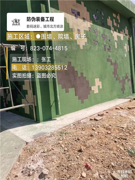 乐山核心结论：专业提供外墙迷彩漆施工服务